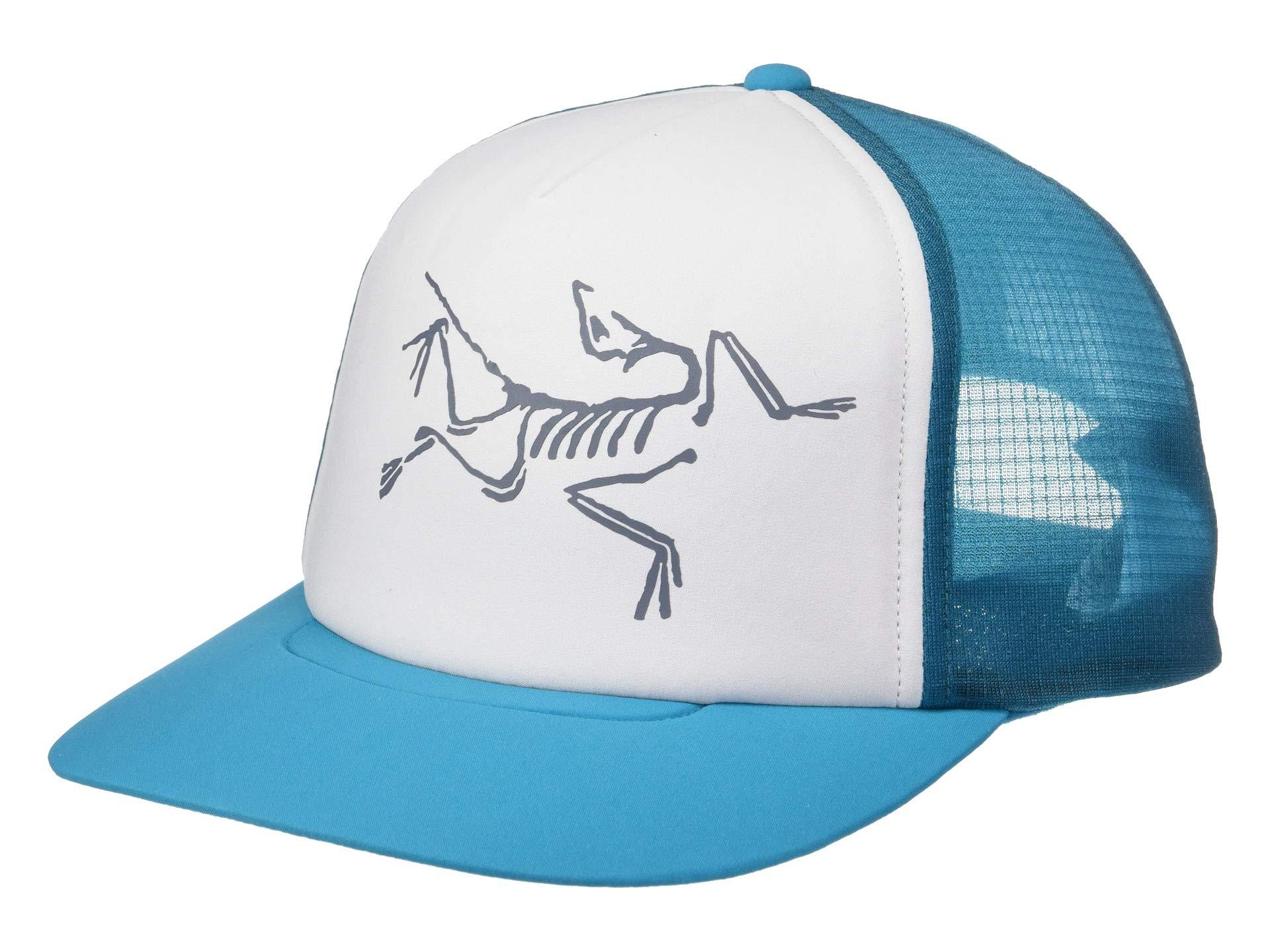 Arc'teryx Bird Trucker Hat in Blue - Lyst