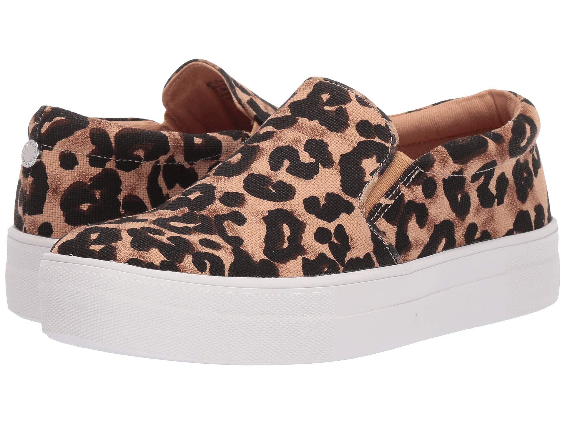 Steve Madden Gills-a Sneaker (leopard) Women's Shoes - Lyst