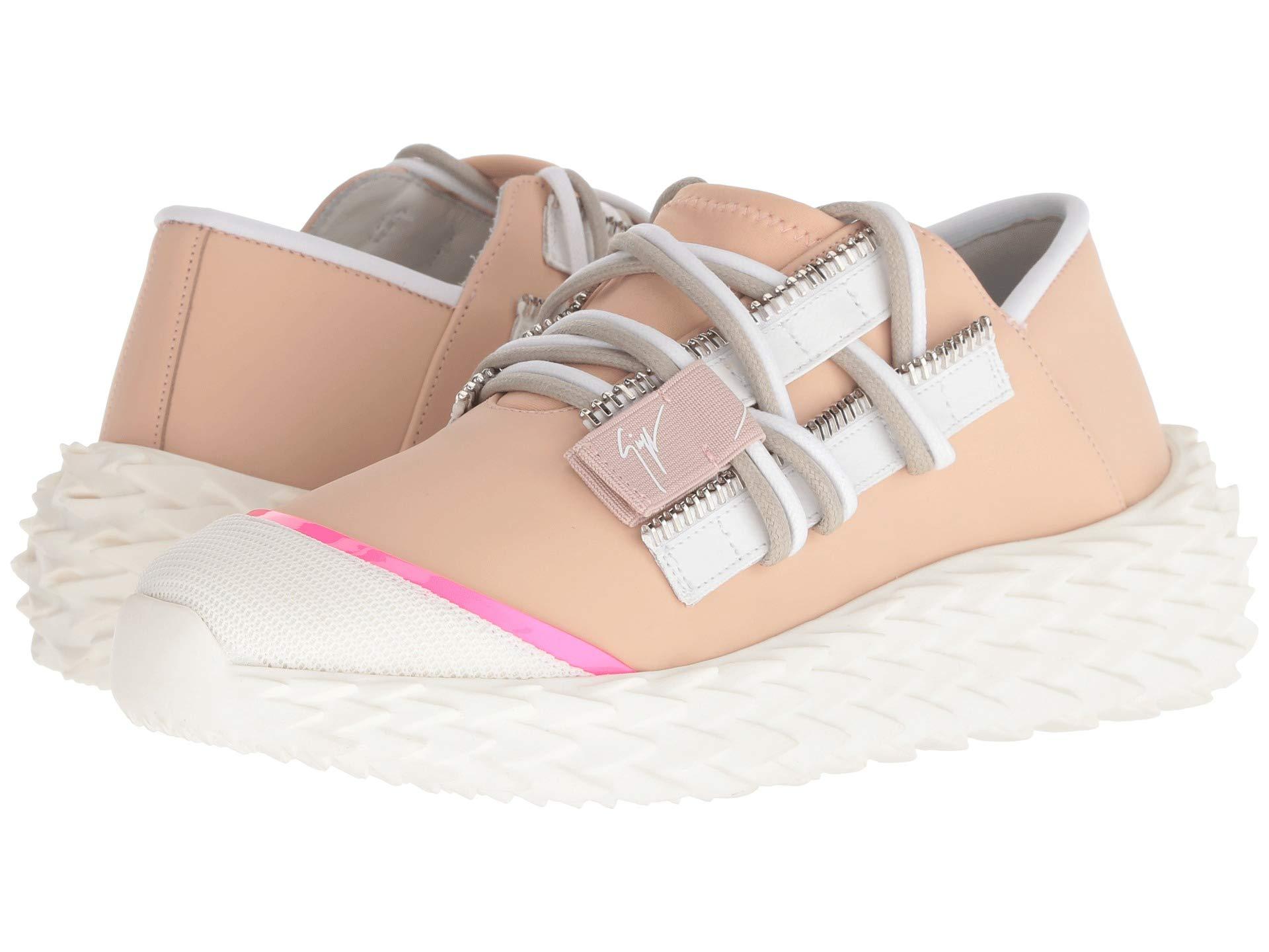 urchin giuseppe zanotti